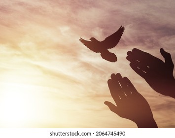 Birds Flying For Freedom From An Open Hand,  Bird Set Free