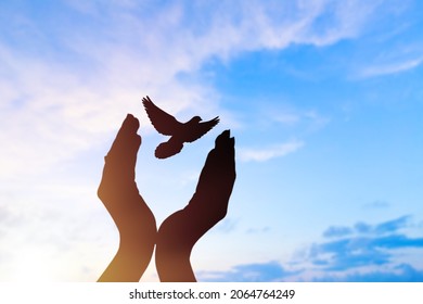 Birds Flying For Freedom From An Open Hand,  Bird Set Free