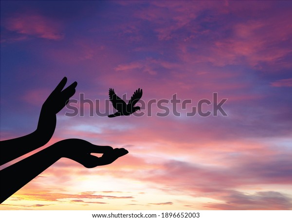 birds flying for\
freedom from an open hand, freedom concept, bird released from\
hand, bird set free 