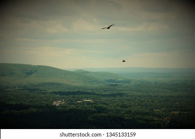Birds flying high (floating with wings out) in blue sky with green hills in the background. Landscape. Spring or summer. Vintage style. - Shutterstock ID 1345133159