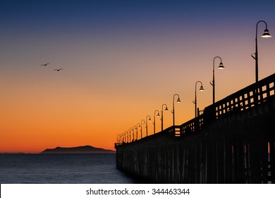 Birds flying home at sunset by the Pier