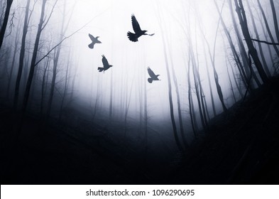 birds flying in magical forest, fantasy landscape