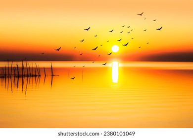 birds flying on the lake at sunset - Powered by Shutterstock