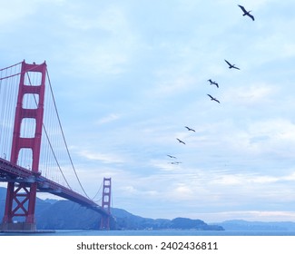 Birds flying over Golden Gate Bridge on a cloudy day - Powered by Shutterstock