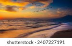 Birds flying in the seascape. Sunset nature background. 