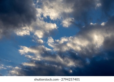 Birds Flying Through Dramatic Clouds