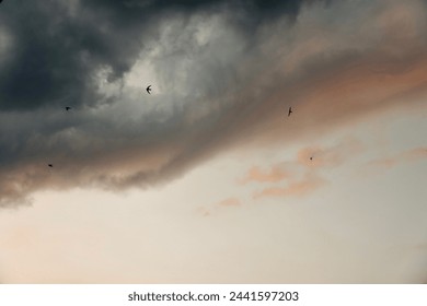 Birds flying under dramatic clouds