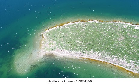 Birds island in Sevan lake