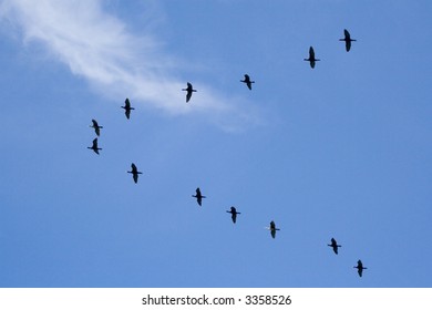 Birds Migrating In V Formation Over Blue Sky