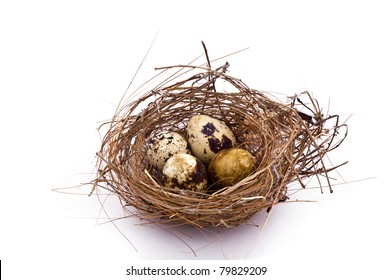 Nid Douillet Hd Stock Images Shutterstock Nid Douillet Hd Stock Images Shutterstock