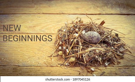 Bird's Nest Inside One Spotted Egg On Wooden Background. Springtime. The Concept Of A New Life And New Beginnings. The Idea Of New Investments And Opportunities. Text New Beginnings.