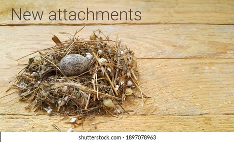 Bird's Nest Inside One Spotted Egg On Wooden Background. Springtime. The Concept Of A New Life And New Beginnings. The Idea Of New Investments And Opportunities. Text New Attachments.