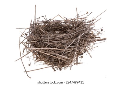 bird's nest isolated on white background