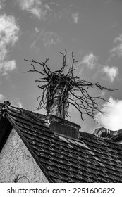 Bird's nest on the mossy roof of an old building - Shutterstock ID 2251600629