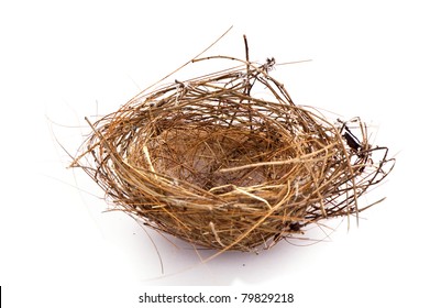 Nid Douillet Hd Stock Images Shutterstock Nid Douillet Hd Stock Images Shutterstock