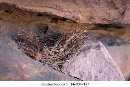 Birds Nest In Rocks, Swift Bay Rock Art Sites