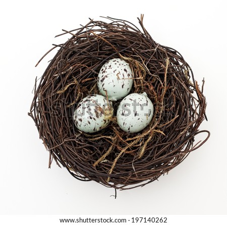 A bird's nest with three eggs waiting to hatch.