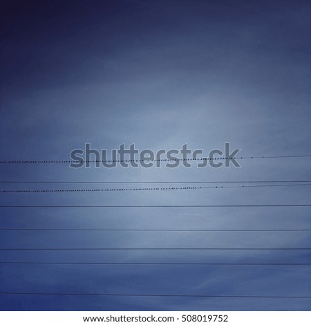 Similar – Image, Stock Photo Vineyard in the morning