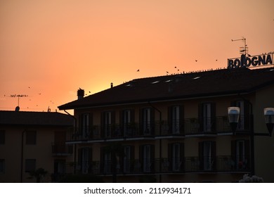 Birds on a rooftop and a Bologna sign in Bardolino, Italy.