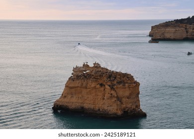 Birds on top of a rock in the Atlantic Ocean with a boat in the background on a winter afternoon in southern Portugal.
