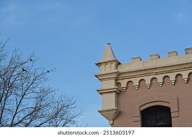 Birds perched on bare branches of tree outside elaborate cornice on rooftop of old 1886 Presidio county jailhouse in Marfa Texas at evening twilight - Powered by Shutterstock