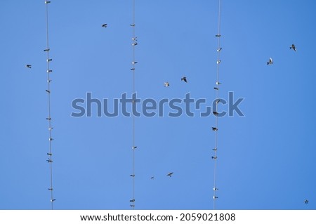 Similar – Image, Stock Photo Together towards the sun