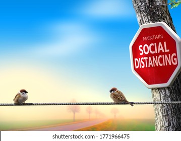 Birds Practicing Social Distancing. Covid-19 Awareness Theme Concept With Humour.