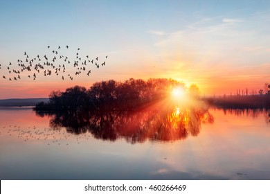 Birds silhouettes flying above the river Euphrates (Firat) at sunset - Birecik, Urfa