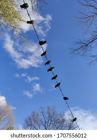 Birds Sit On A Wire In A Different Direction Against A Blue Sky