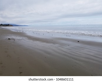 Birds In The Surf - Summerland Beach 