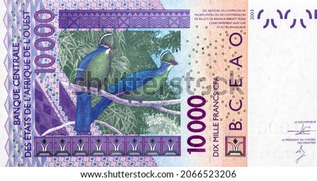 Birds (Tauroco macrorhynchus), Portrait from Western African States 10000 Francs Banknotes. CFA franc is used in 14 African countries. 