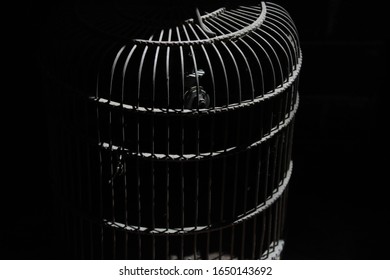 Bird's wooden cage close up. Darkness. Jail. 