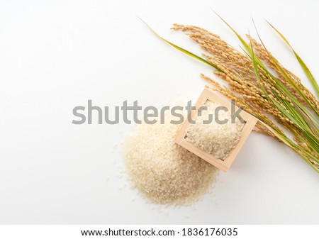 A bird's-eye view of white rice, measuring cups and ears of rice on a white background