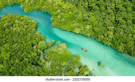 A Bird's-eye View Of A Woman Kayaking Alone In A Mangrove Forest On The Andaman Coast On Her Vacation At Phi Phi Island, Thailand