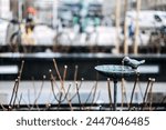 Bird-shaped Street Water Drinker for Urban Wildlife