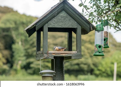 Royalty Free Birdtables Stock Images Photos Vectors Shutterstock