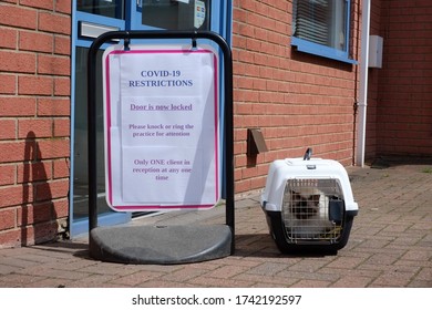 Birman Cat In Carrier Outside Vet COVID-19 Sign