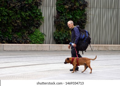 Birmingham, UK - August 03 2019: A Middle-aged Homeless Man With A Large Backpack Walks With A Staffie Dog