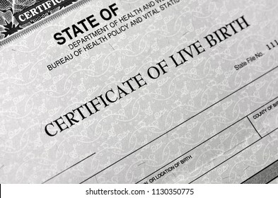 Birth Certificate For Live Baby Born 