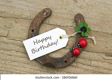 Carte Anniversaire Cheval Photos Et Images De Stock Shutterstock