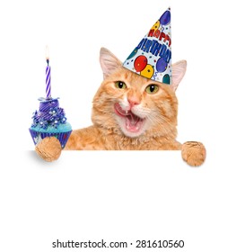 Birthday Cat .