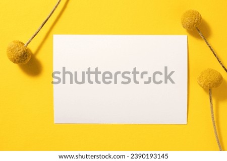 Similar – Image, Stock Photo Craspedia