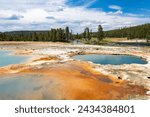 Biscuit Basin area, Yellowstone, Wyoming...