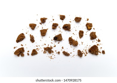 Biscuit With Chocolate Chip Flavored. Some Broken And Crumbs Of Crunchy Delicious Sweet Meal And Useful Cookie With On White Background. 