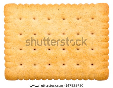 Biscuit Texture Closeup Details Isolated On White