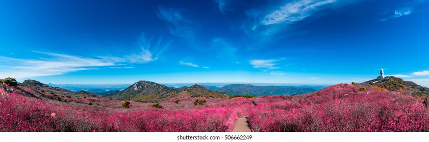 Biseulsan National Park The Best Panorama Image Of Landscape Mountain Flower And Autumn In South Korea.