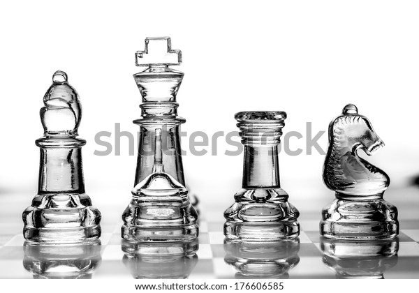 Bishop King Rook Knight Chess Pieces Stock Photo Edit Now 176606585