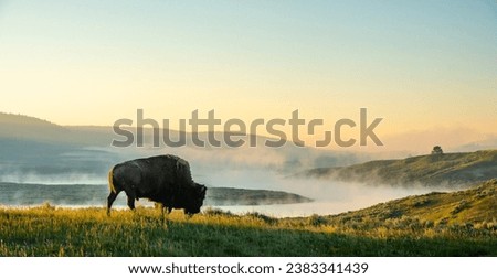 Similar – Image, Stock Photo Morning walk towards the summit peaks
