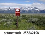 Bison Warning sign, Antelope Flats, Grand Teton National Park, Wyoming, USA