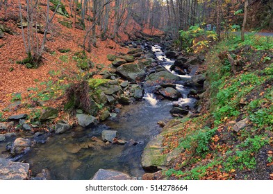 Bistra River (P?durea Neagr? / Fekete Erd?), Romania, Transylvania 